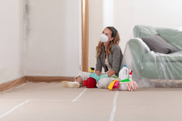 Reliable Mold Remediation contractor in Glen Rock, NJ by WQB Mold Removal
